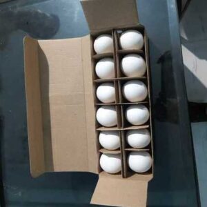 12 FRESH EGGS