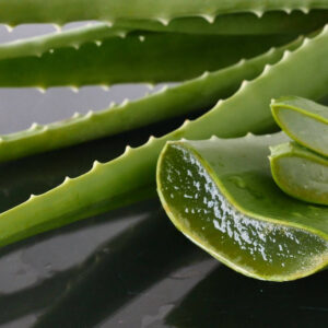ALOE VERA LEAF