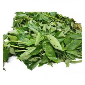 EWEDU MOLOKHIA FRESH