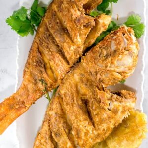 FRIED SNAPPER 600