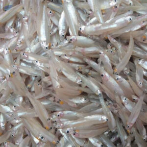 KESKI RIVER SPRAT 225GM