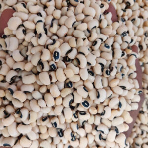 LION HD BLACKEYE BEAN 25KG