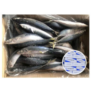 MACKEREL FROZEN 250