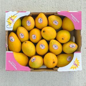 MANGOES SMALL BOXES