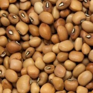 OLOYIN BEANS HALF BAG 10KG