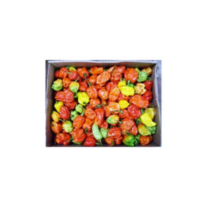 PEPPER SCOTCH BONNET BOX
