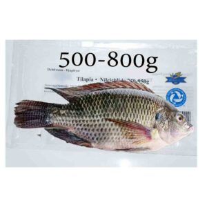 RB TILAPIA 800-1300