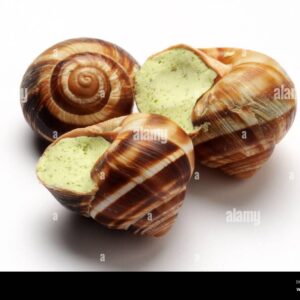 TF FROZEN SNAILS 446G