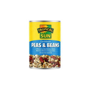 TS BEAN FLOUR 400G