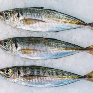 VIVANDA JACK MACKEREL