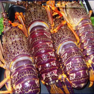 WHOLE CRAYFISH